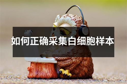 如何正确采集白细胞样本 如何正确采集白细胞样本