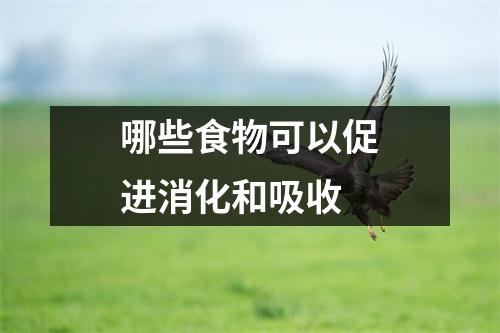 哪些食物可以促进消化和吸收 