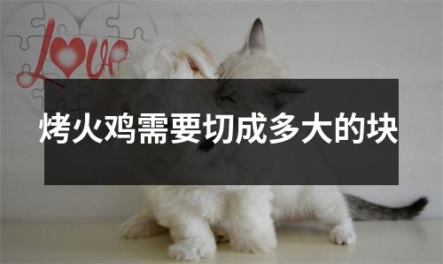 烤火鸡需要切成多大的块