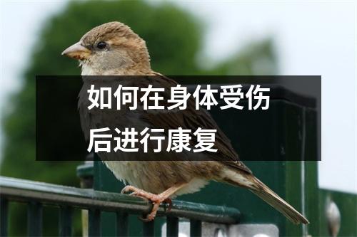 如何在身体受伤后进行康复 如何在身体受伤后进行康复
