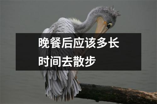 晚餐后应该多长时间去散步