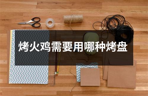 烤火鸡需要用哪种烤盘