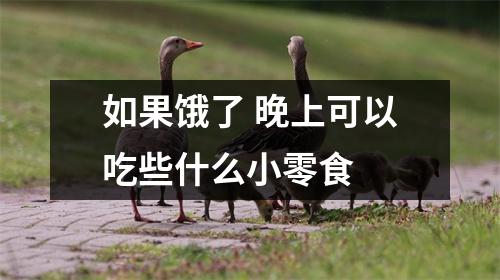 如果饿了 晚上可以吃些什么小零食