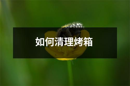 如何清理烤箱