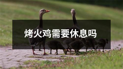 烤火鸡需要休息吗