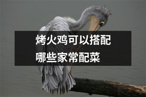 烤火鸡可以搭配哪些家常配菜