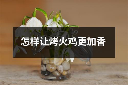 怎样让烤火鸡更加香