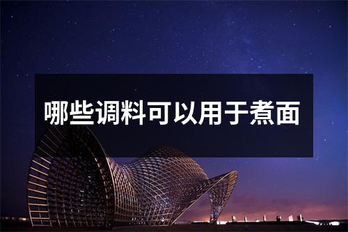 哪些调料可以用于煮面