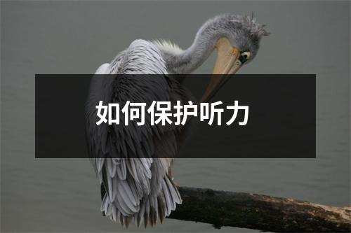 如何保护听力