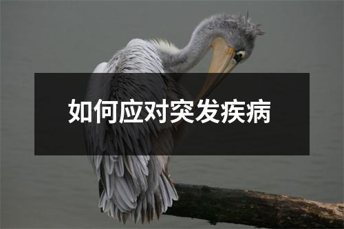 如何应对突发疾病
