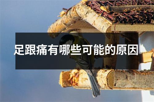 足跟痛有哪些可能的原因