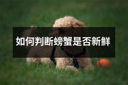 如何判断螃蟹是否新鲜 