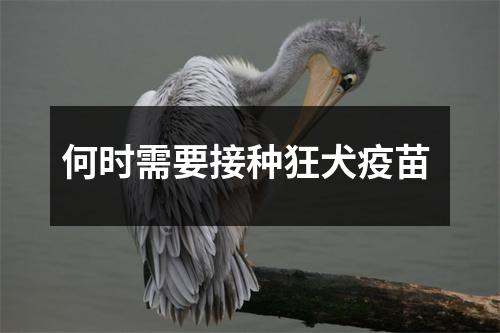 何时需要接种狂犬疫苗 