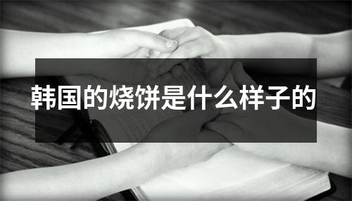 韩国的烧饼是什么样子的