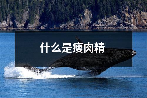 什么是瘦肉精 
