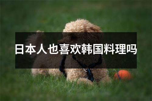 日本人也喜欢韩国料理吗 