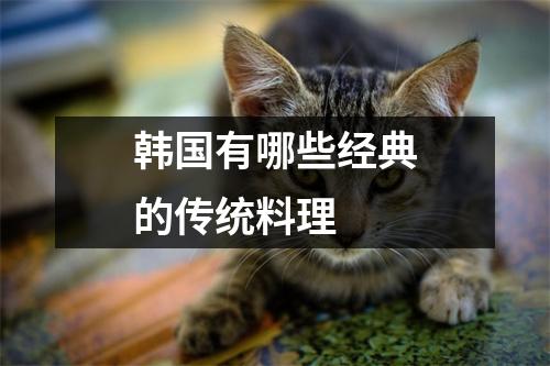 韩国有哪些经典的传统料理 