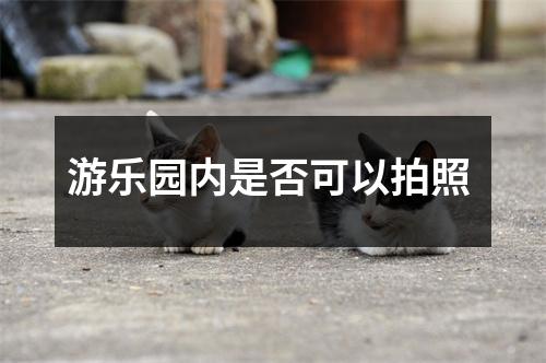 游乐园内是否可以拍照 