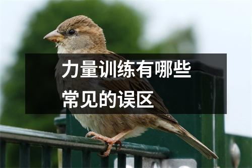 力量训练有哪些常见的误区