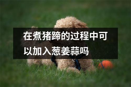 在煮猪蹄的过程中可以加入葱姜蒜吗