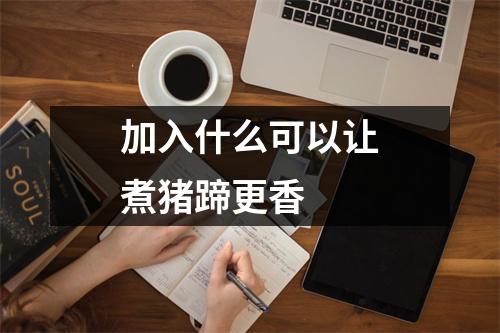 加入什么可以让煮猪蹄更香