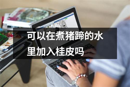 可以在煮猪蹄的水里加入桂皮吗