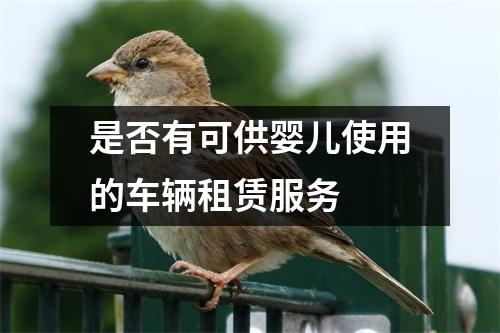 是否有可供婴儿使用的车辆租赁服务