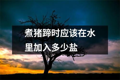 煮猪蹄时应该在水里加入多少盐