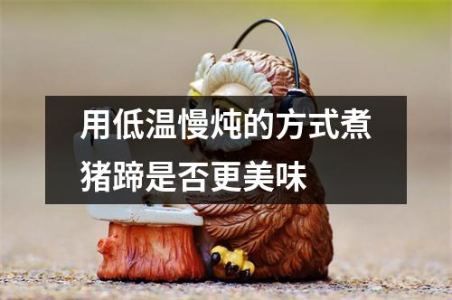 用低温慢炖的方式煮猪蹄是否更美味