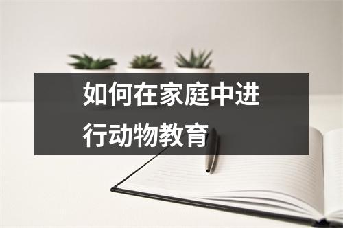 如何在家庭中进行动物教育 