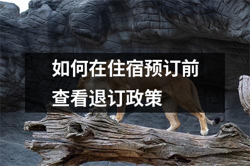 如何在住宿预订前查看退订政策 