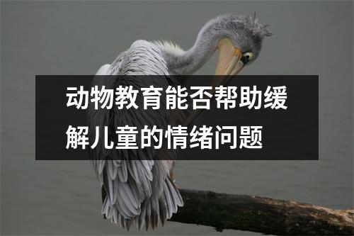 动物教育能否帮助缓解儿童的情绪问题 
