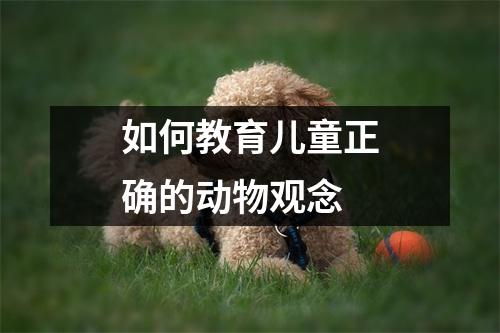 如何教育儿童正确的动物观念 