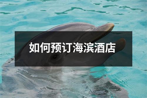 如何预订海滨酒店 