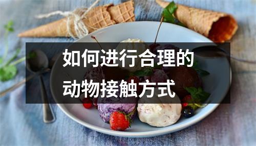如何进行合理的动物接触方式 如何进行合理的动物接触方式