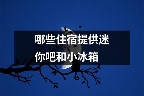 哪些住宿提供迷你吧和小冰箱 哪些住宿提供迷你吧和小冰箱