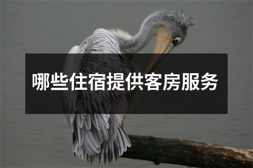哪些住宿提供客房服务 