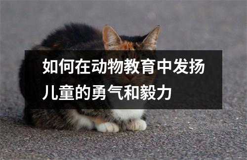 如何在动物教育中发扬儿童的勇气和毅力 