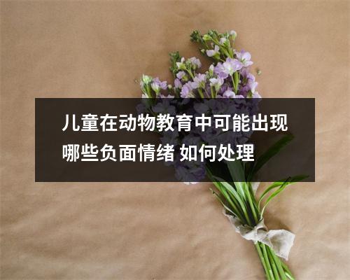 儿童在动物教育中可能出现哪些负面情绪 如何处理 