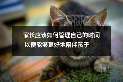 家长应该如何管理自己的时间 以便能够更好地陪伴孩子 