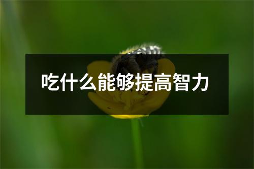 吃什么能够提高智力