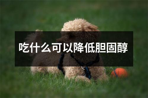 吃什么可以降低胆固醇