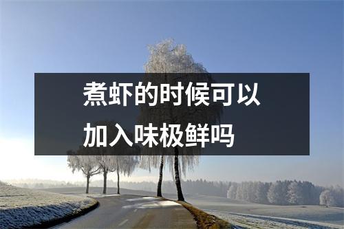 煮虾的时候可以加入味极鲜吗