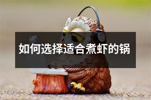 如何选择适合煮虾的锅