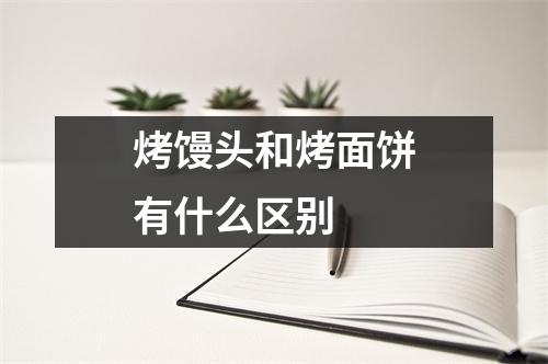 烤馒头和烤面饼有什么区别