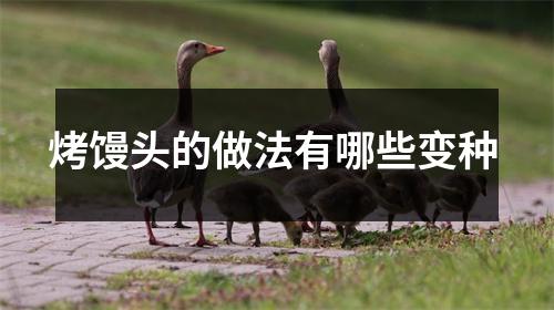 烤馒头的做法有哪些变种 