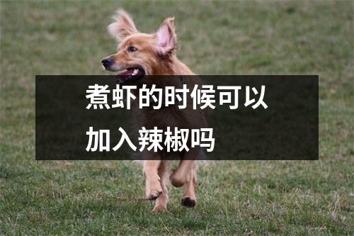 煮虾的时候可以加入辣椒吗