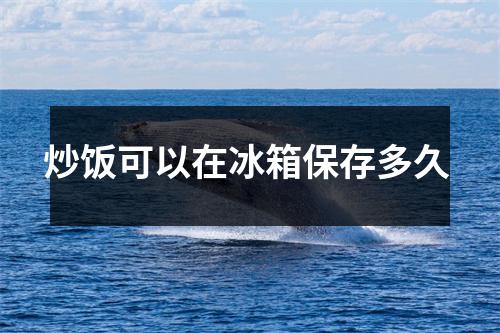 炒饭可以在冰箱保存多久