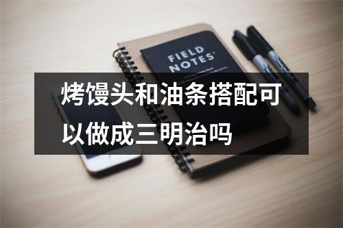 烤馒头和油条搭配可以做成三明治吗 