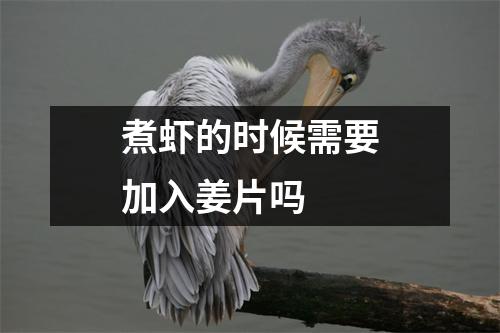 煮虾的时候需要加入姜片吗